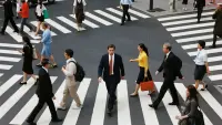 Effects Video