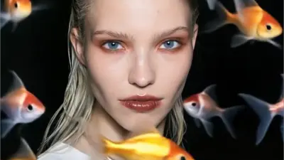Effects Video