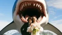 Effects Video
