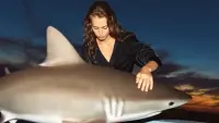 Effects Video