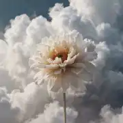 Together Through Life