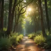 УНІТАЗНА ЕКСПЕДИЦІЯ