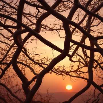 novo amanhecer 