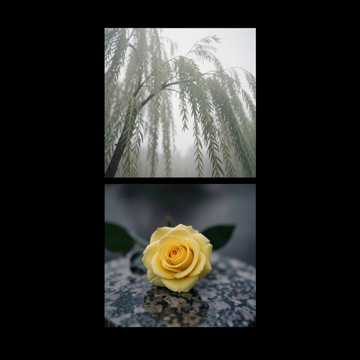 home-img