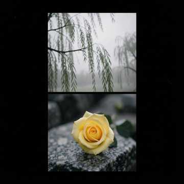 home-img