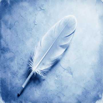 home-img